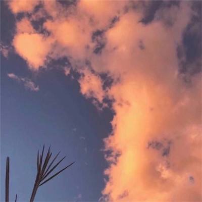 王者战绩清除器软件下载